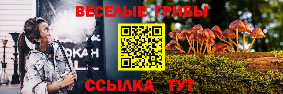 Новосибирск  Галлюциногенные грибы прущие грибы  Вход с VPN 