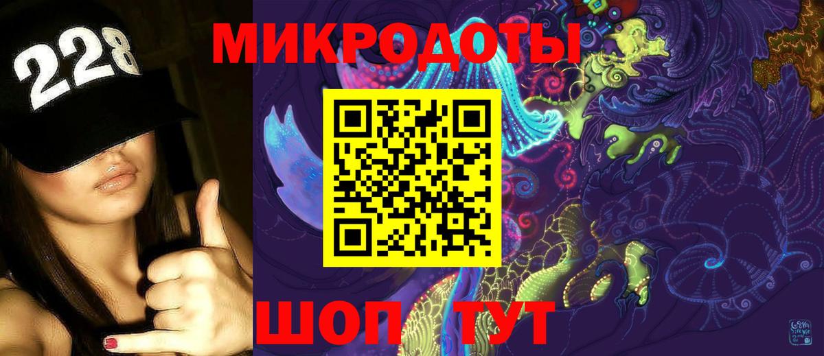 Псилоцибиновые грибы Psilocybe Новосибирск